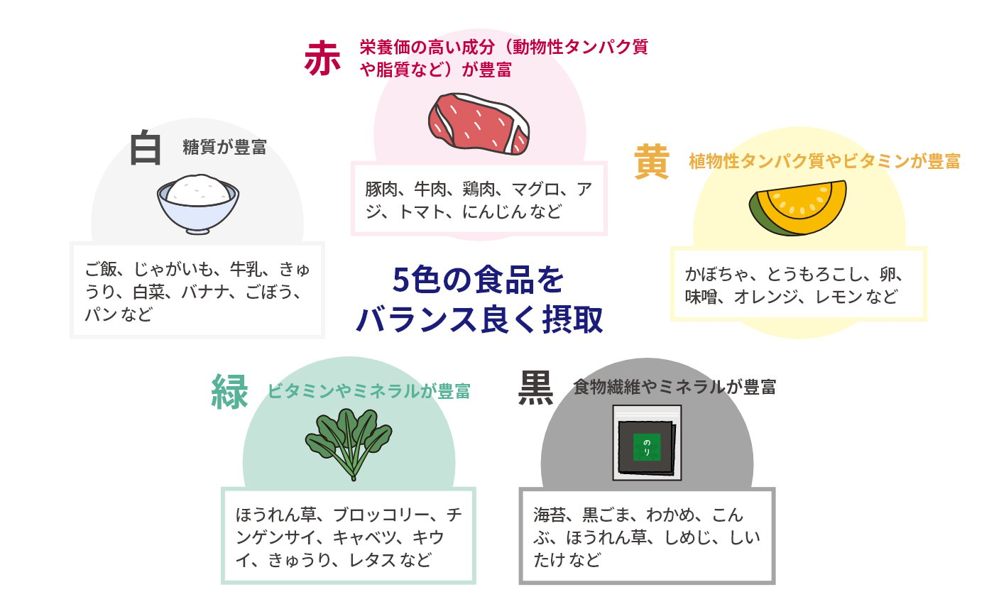 5色の食材をバランス良く接種することを意識させる図。赤、黄、黒、緑、白の色で分類されており、それぞれの特徴で纏められた食品が書かれている。赤の特徴は栄養価の高い成分である(動物性タンパク質や脂質など)が豊富。豚肉や牛肉、鶏肉、マグロ、アジ、トマト、ニンジンなど。黄の特徴は植物性タンパク質やビタミンが豊富。かぼちゃ、とうもろこし、卵、味噌、オレンジ、レモンなど。黒の特徴は食物繊維やミネラルが豊富。海苔、黒ゴマ、わかめ、こんぶ、ほうれん草、しめじ、しいたけなど。緑の特徴はビタミンやミネラルが豊富。ほうれん草、ブロッコリー、チンゲンサイ、キャベツ、キウイ、きゅうり、レタスなど。白の特徴は糖質が豊富。ご飯、じゃがいも、牛乳、きゅうり、白菜、バナナ、ごぼう、パンなど。