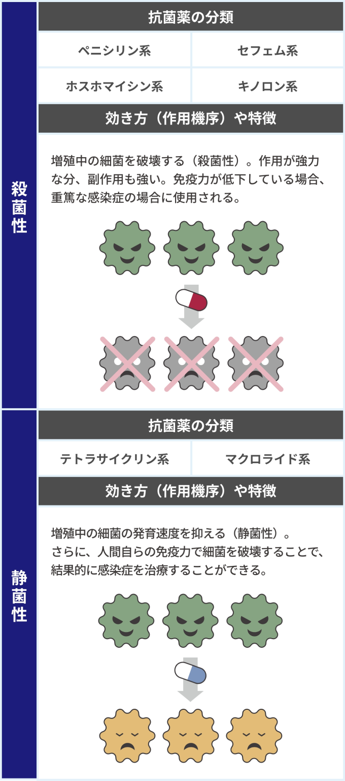 抗菌薬の分類を示した表。抗菌薬は「殺菌性」と「静菌性」に分けられる。「殺菌性」の抗菌薬の分類は「ペニシリン系」「セフェム系」「ホスホマイシン系」「キノロン系」、効き方(作用機序)や特徴は次の3つ。増殖中の細菌を破壊する(殺菌性)。作用が強力な分、副作用も強い。免疫力が低下している場合、重篤な感染症の場合に使用される。「静菌性」の抗菌薬の分類は「テトラサイクリン系」「マクロライド系」、効き方(作用機序)や特徴は次の2つ。増殖中の細菌の発育速度を抑える(静菌性)。さらに、人間自らの免疫力で細菌を破壊することで、結果的に感染症を治療することができる。